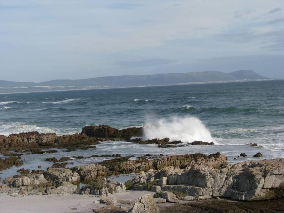 Thundering waves - Housity