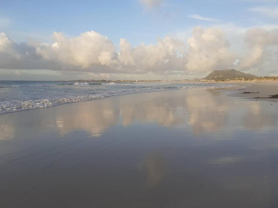 Thundering waves - Housity