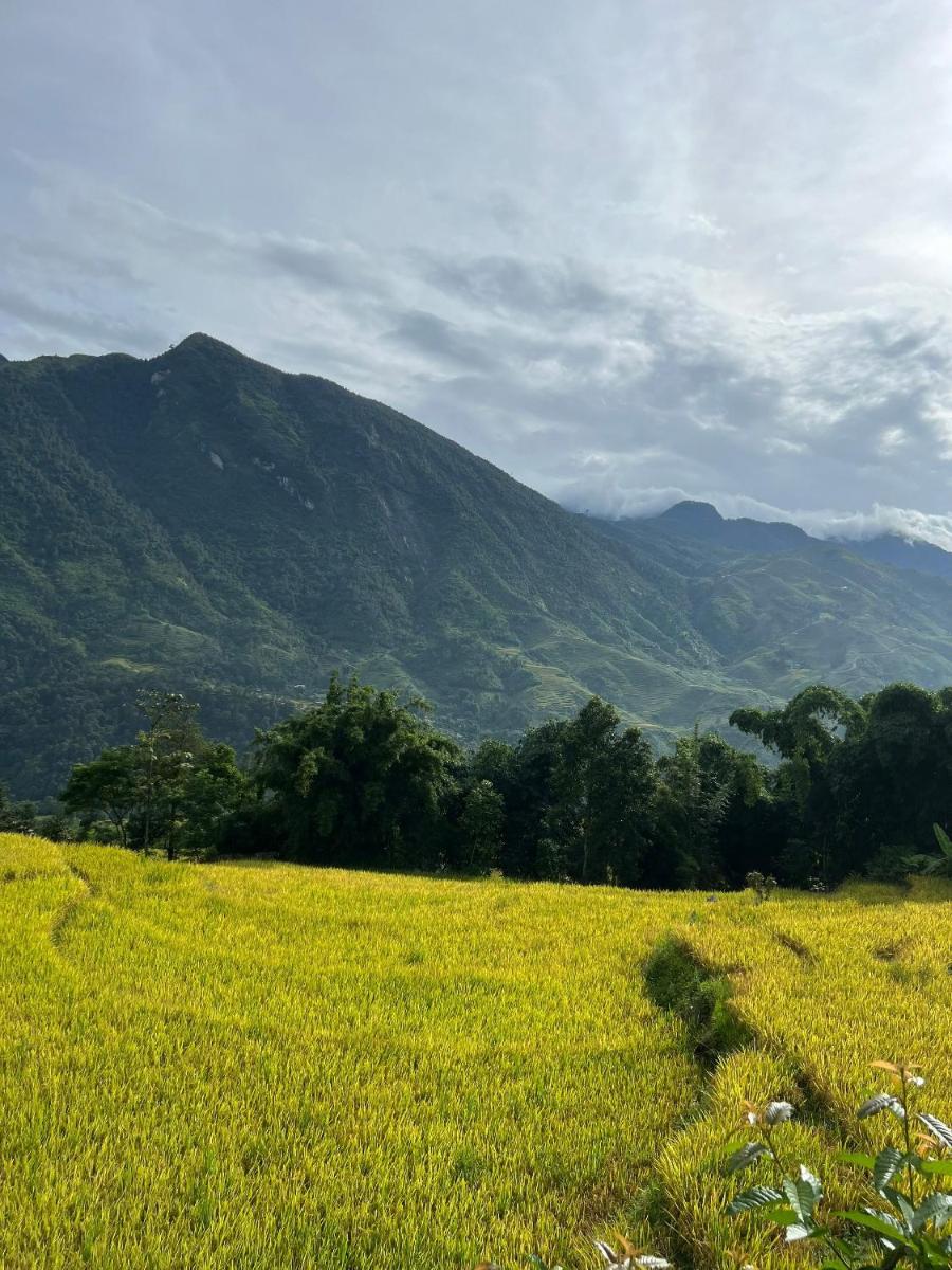 Khen Mong Nature Hotel - Housity