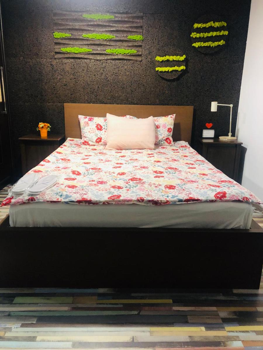 Cazare urbana - Housity