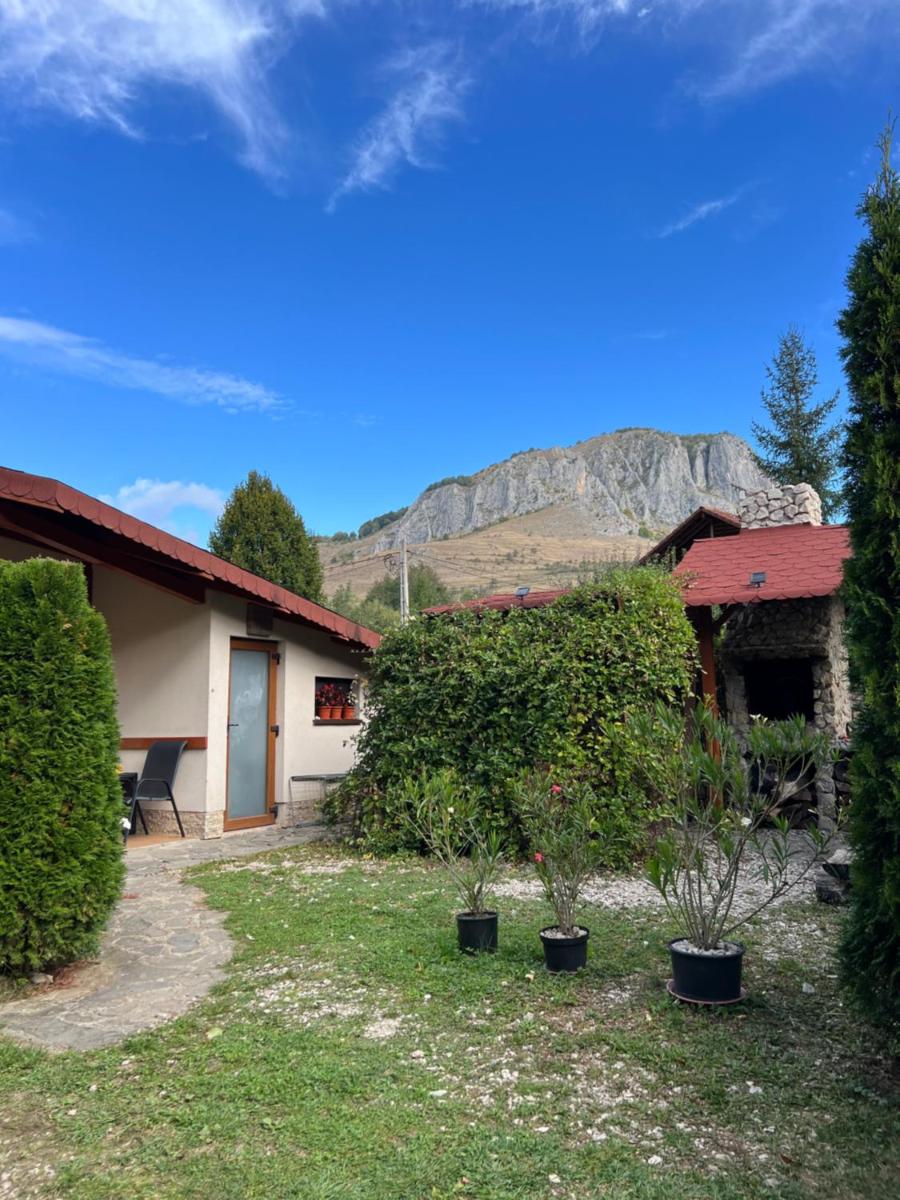 Studiouri Valisoara - Housity