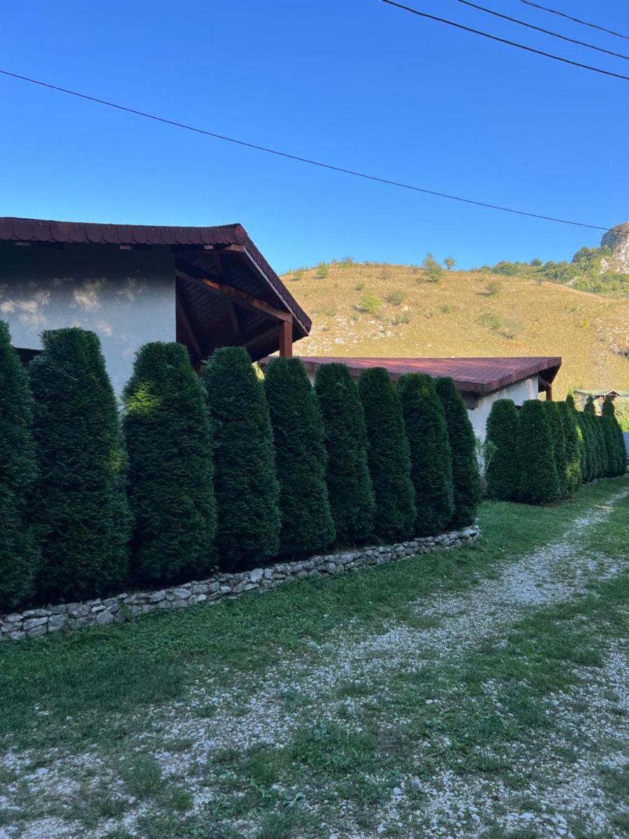 Studiouri Valisoara - Housity
