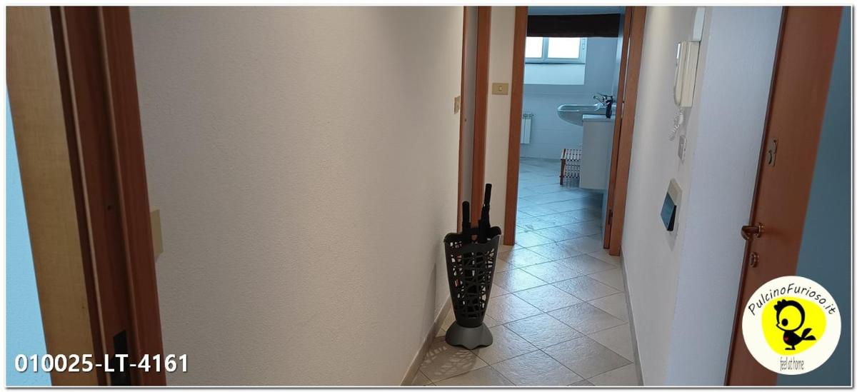Pulcino Furioso Magenta - Housity