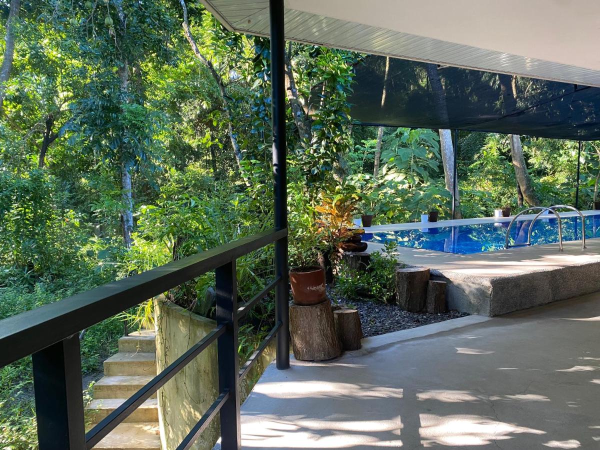 Balai Benedicere Bed & Breakfast - Housity