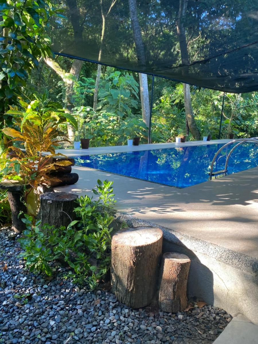 Balai Benedicere Bed & Breakfast - Housity
