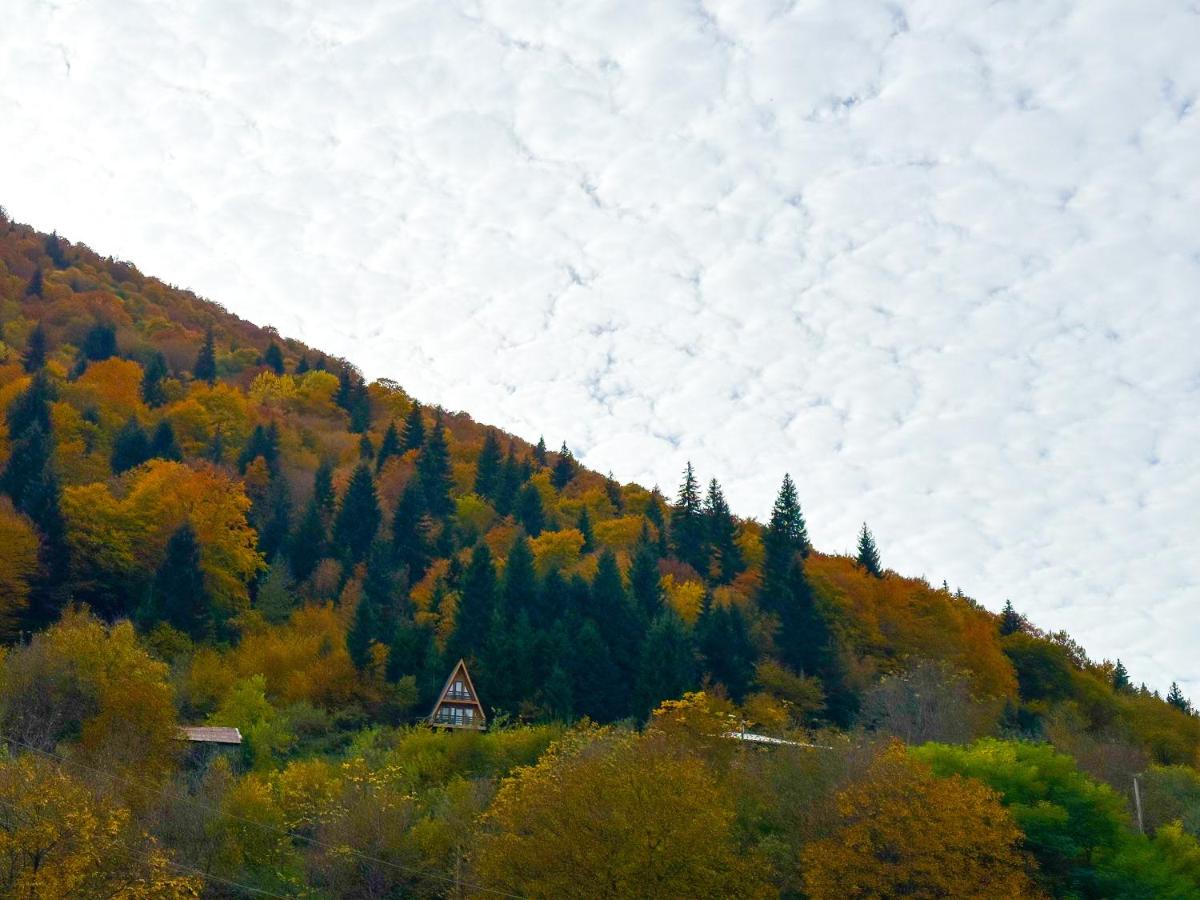 ლენტეხის მთის სასტუმრო - Lentekhi Mountain Inn - Housity