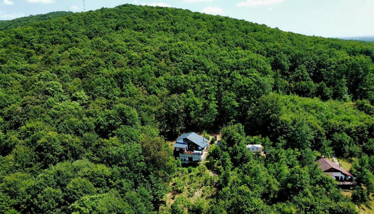 Beauty Wood House in The Forest - Housity