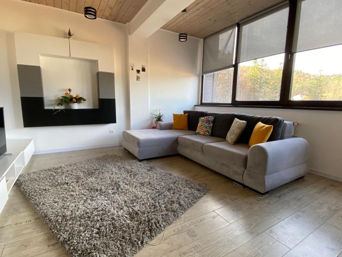 Apartament Cris Predeal - Housity