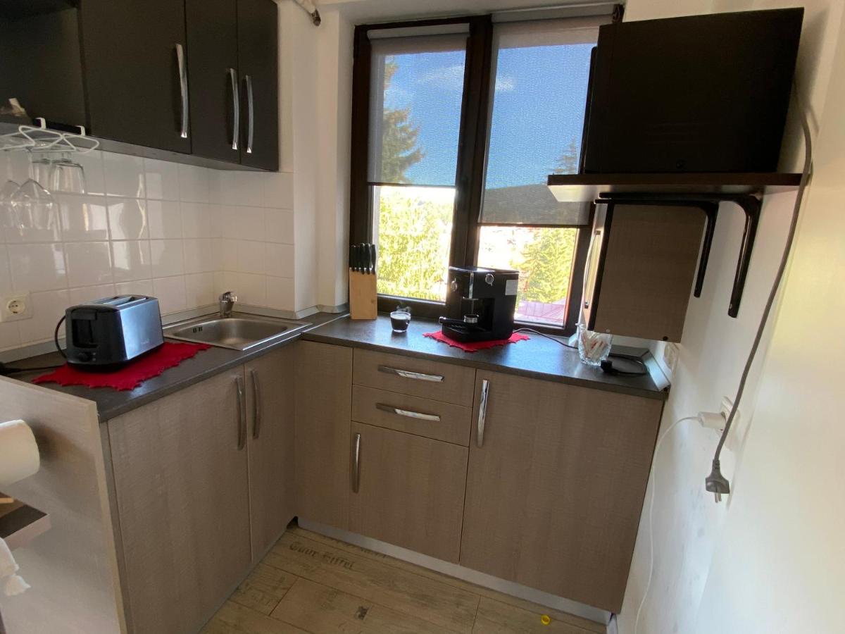 Apartament Cris Predeal - Housity