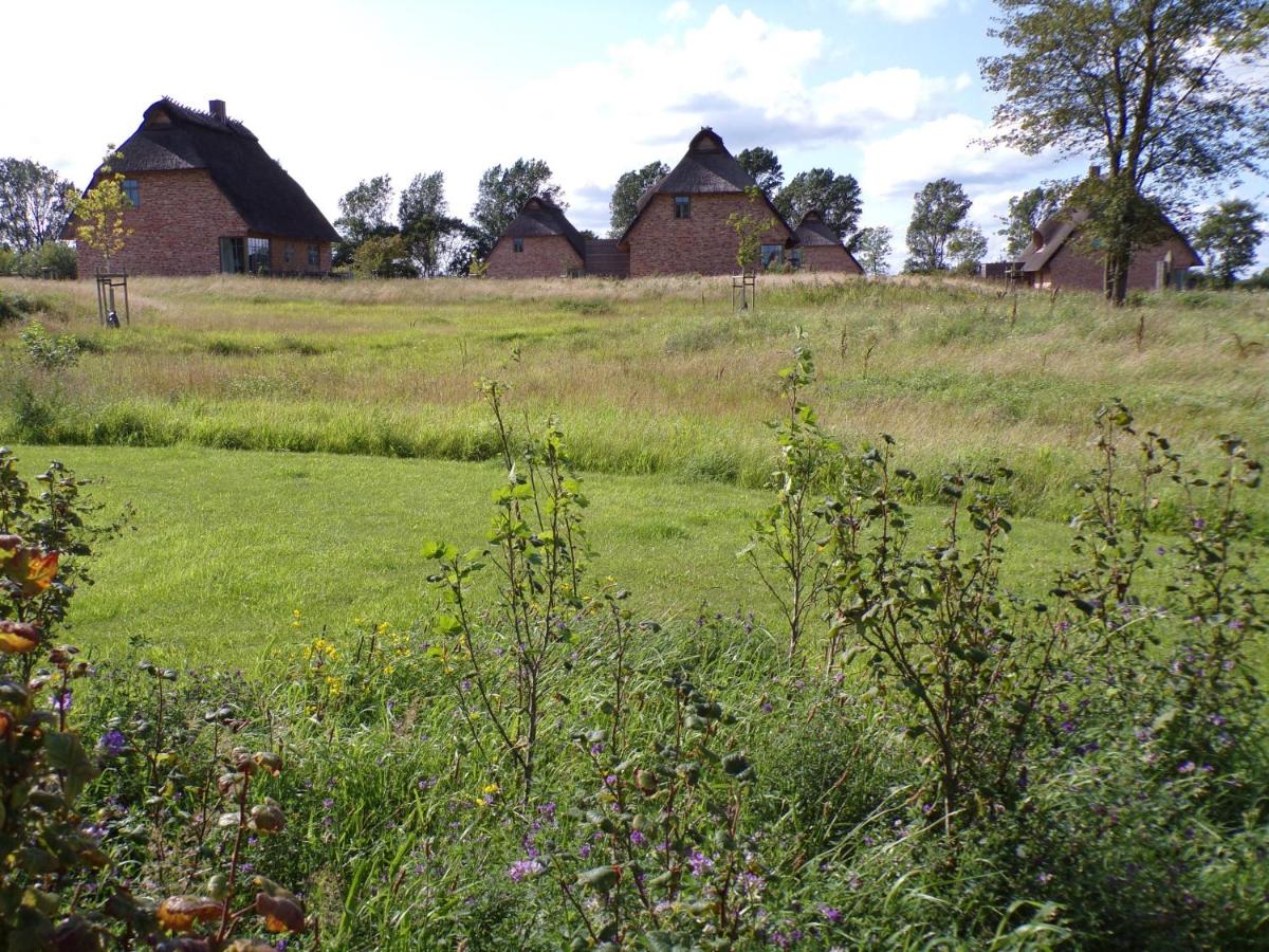 Reetdorf Geltinger Birk Malerhaus Niedermoor - Housity