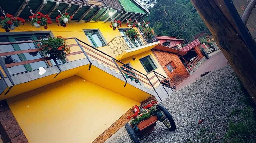 Casa Delia - Housity