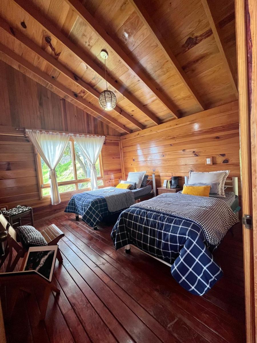 Confortable Cabaña en Bosque privado - Housity