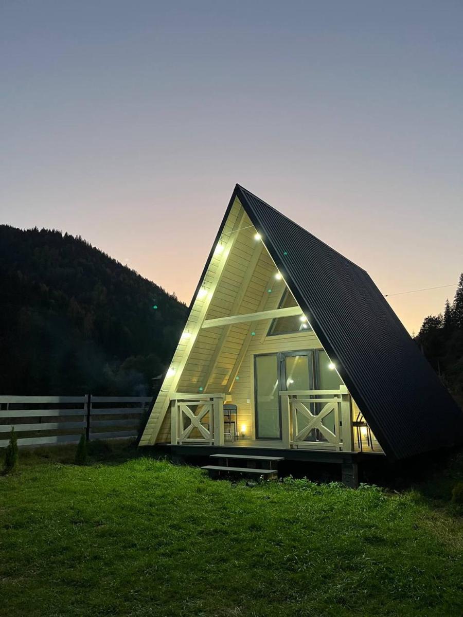 A frame house Kryvorivnia - Housity