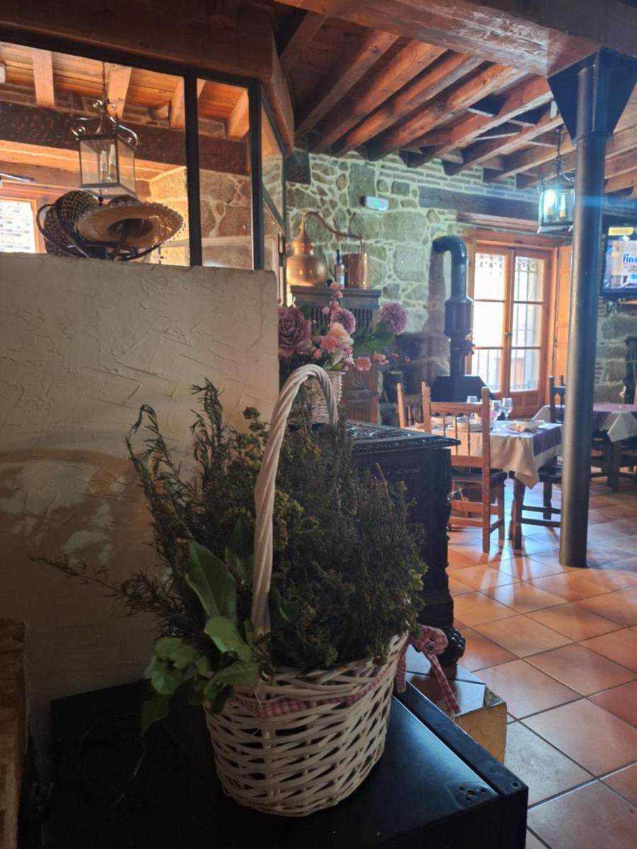 Suitetrails - Hostal el patio restaurante