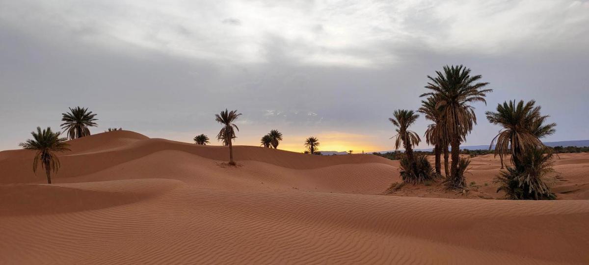 Dar Bani - Housity