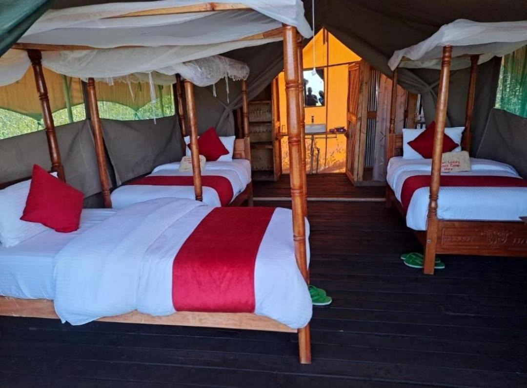 Nyakulo safari camp - Housity