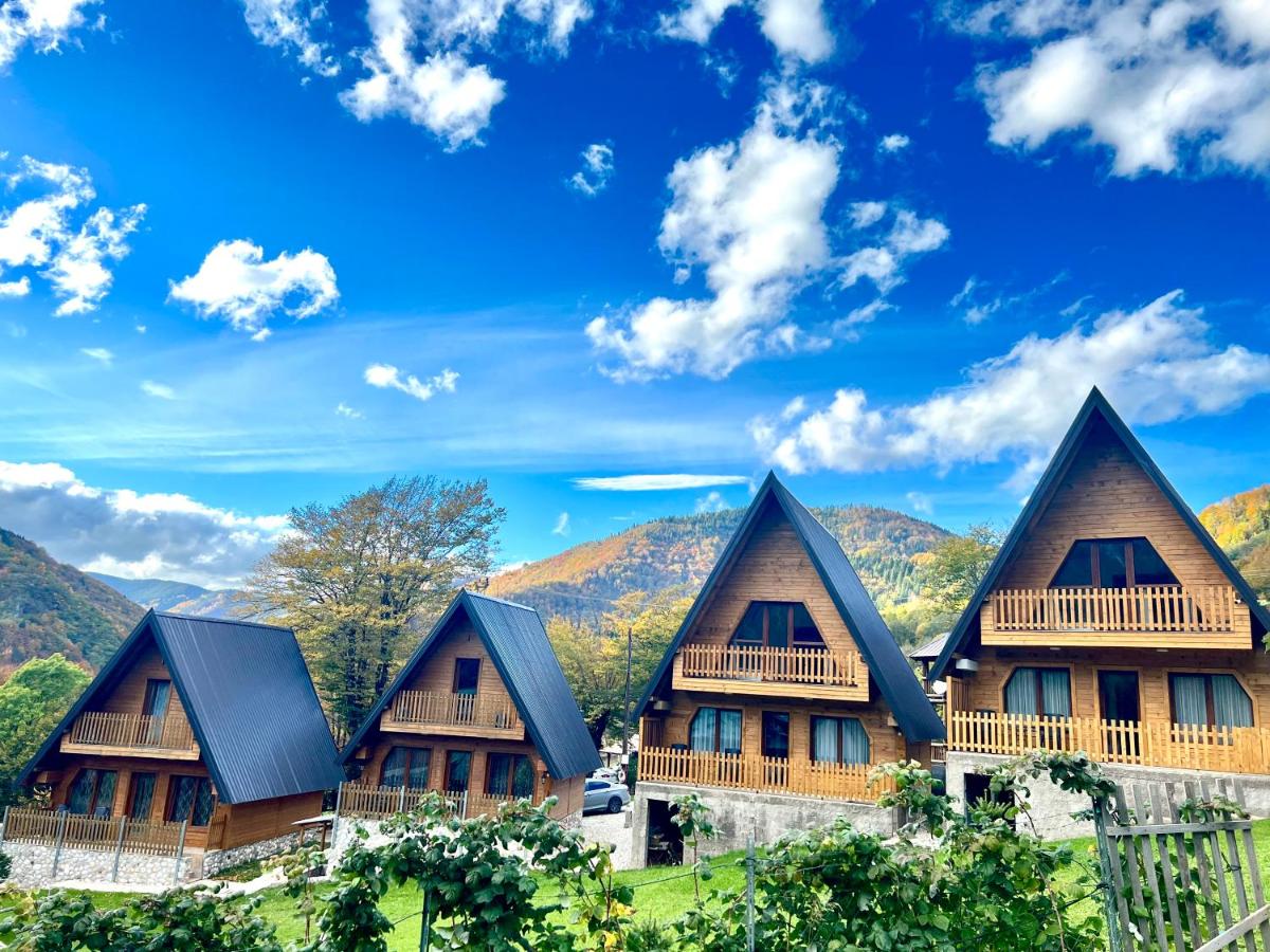 Villa Dardania - Housity