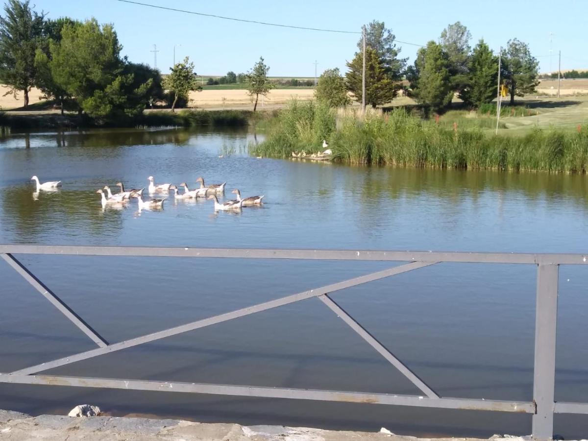 Los Tréboles - Housity