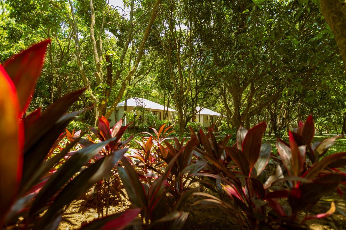 a garden with red plants and trees and a tent at Anand Kashi by the Ganges Rishikesh - IHCL Seleqtions in Rishīkesh