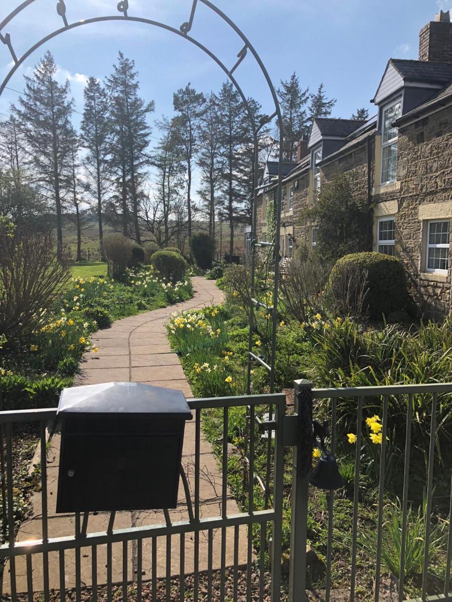 Brownrigg - half a house & garden - Housity