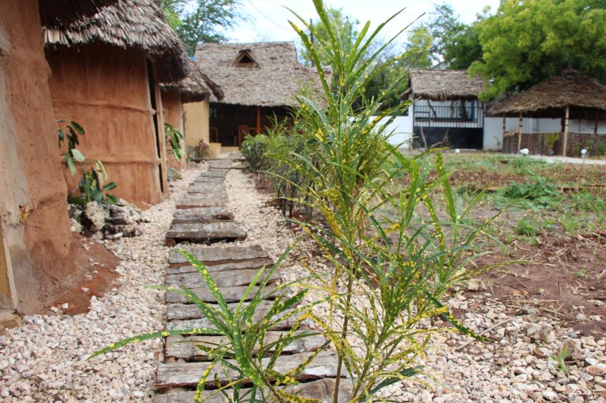 Zanzigo - Housity