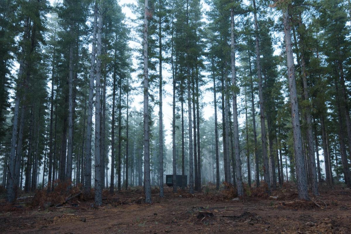 CABN Kuitpo Forest - Housity