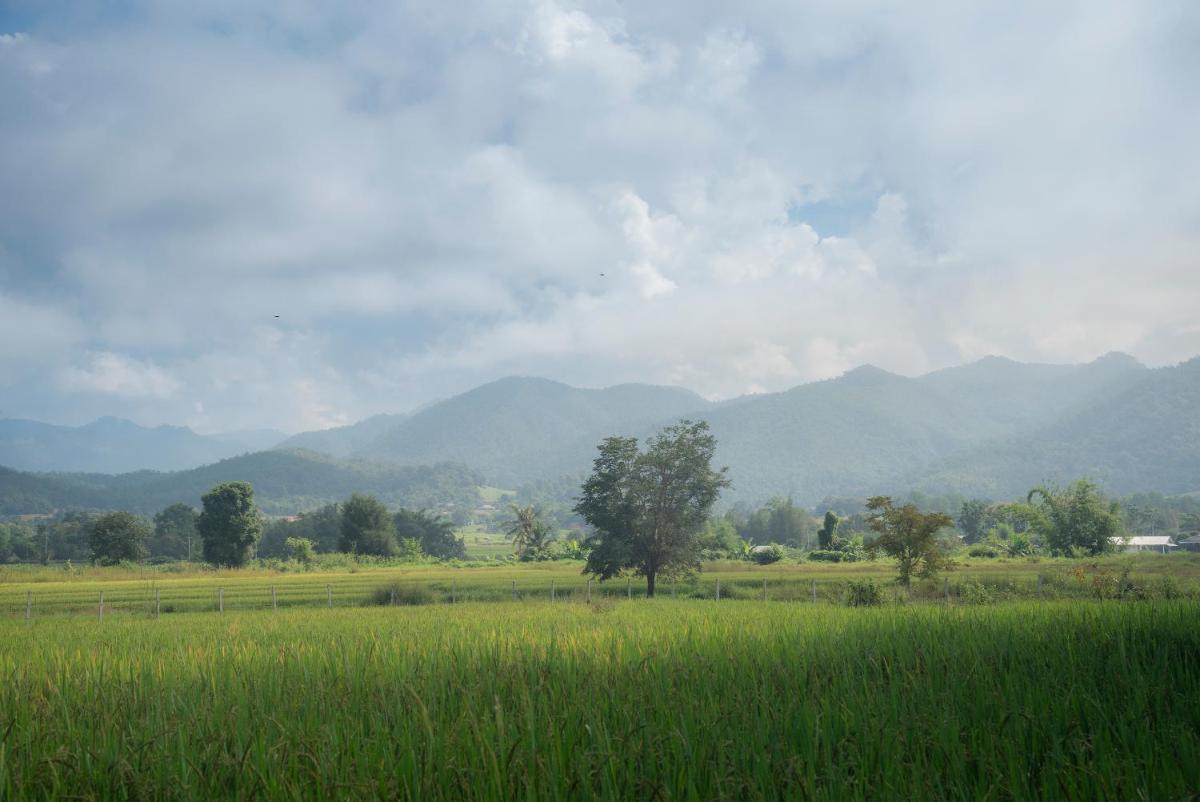 Paddy Fields Haven - Natures Nest, Mountain View in Pai - Housity