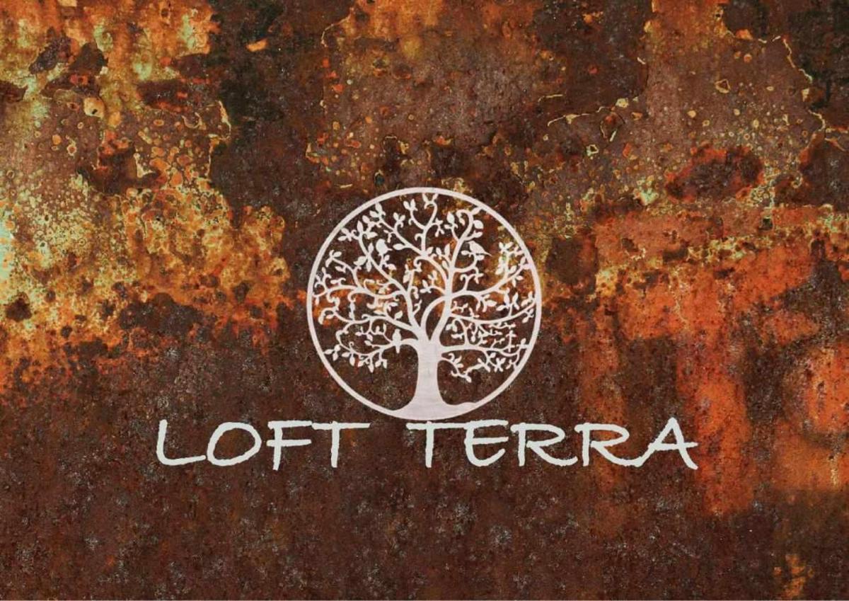 APARTAMENTOS TERRA Y ONIX zona centro Elda - Housity