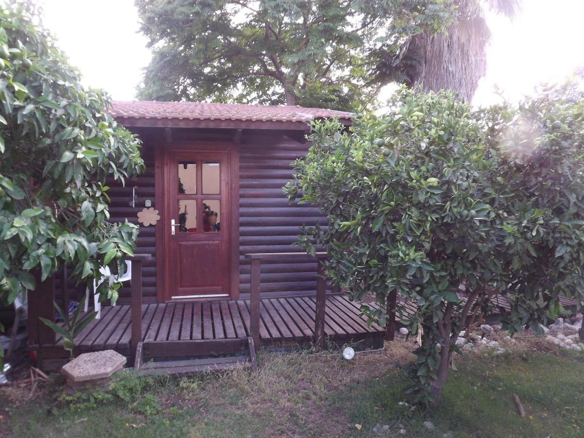 Zimmer In The Garden - Housity