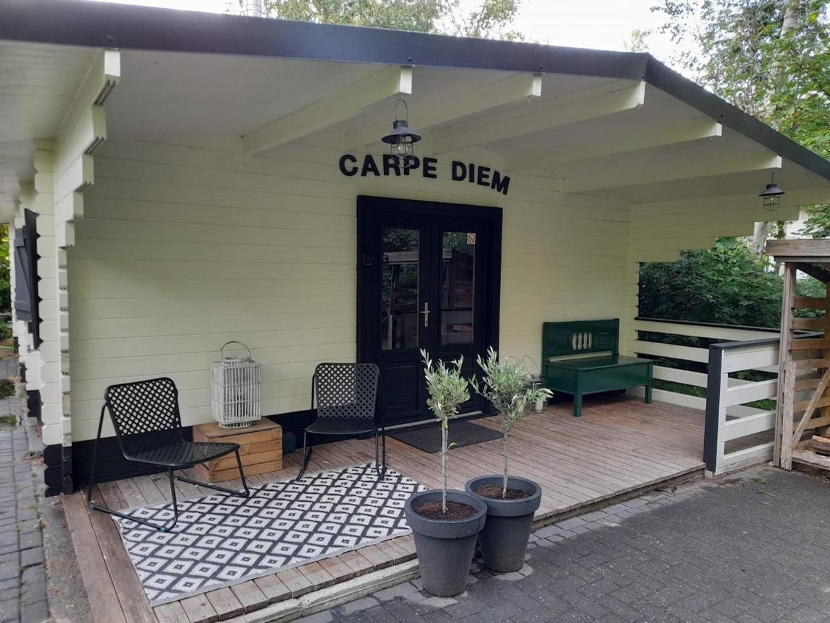 Ruim chalet met houtkachel nabij Wildlands Emmen - Housity