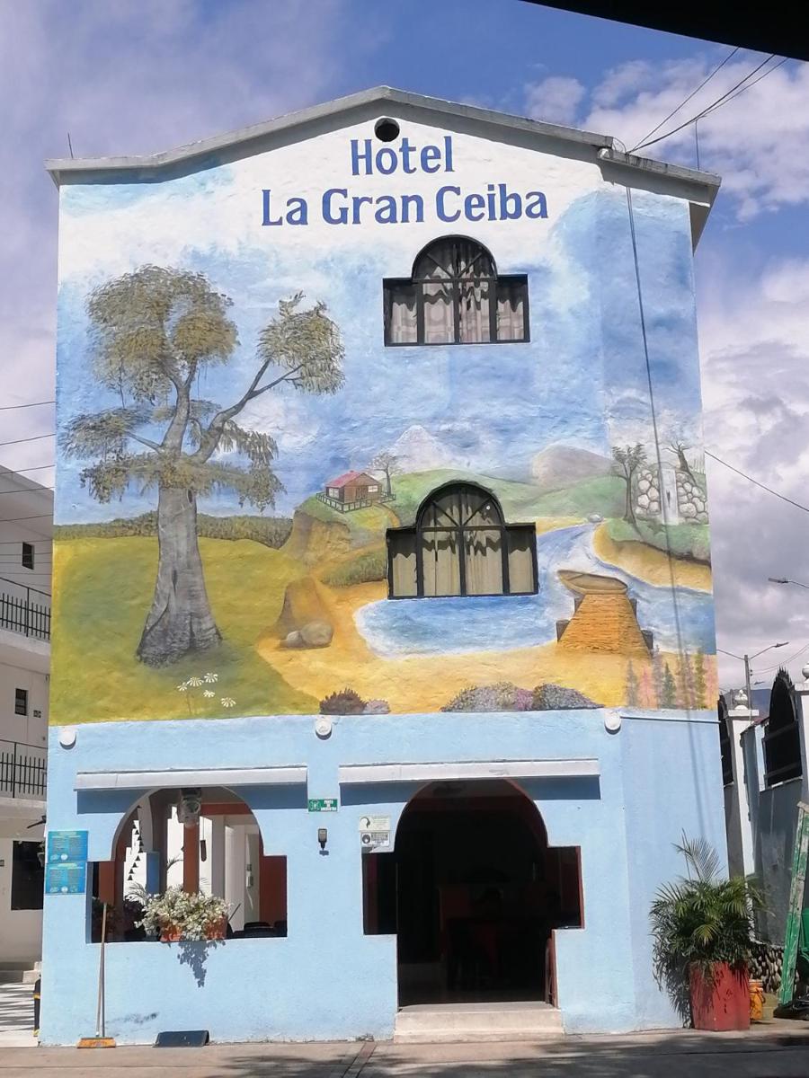 La Gran Ceiba - Housity