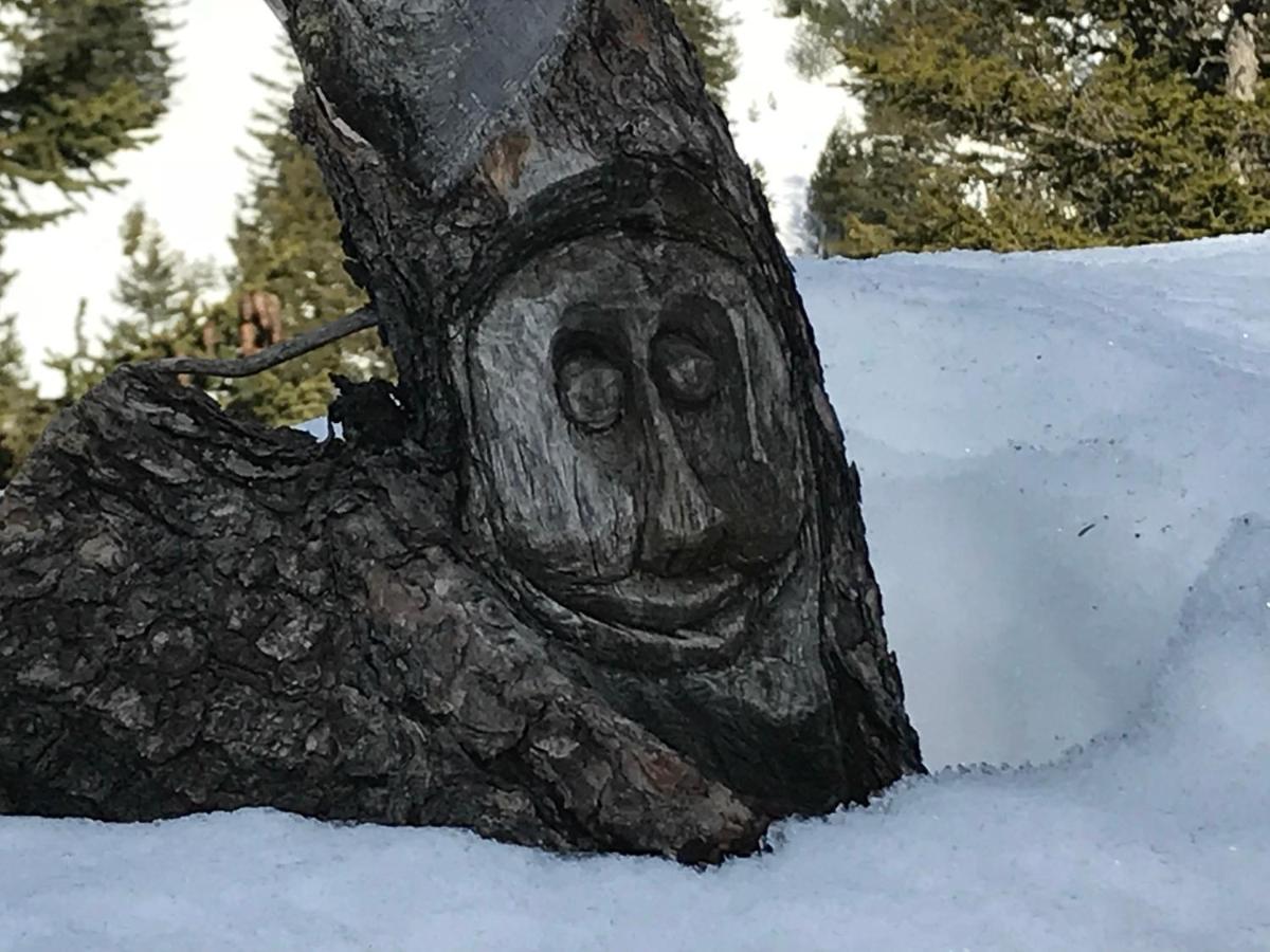 2-Zimmer Ferienwohnung an ruhiger Lage - Housity