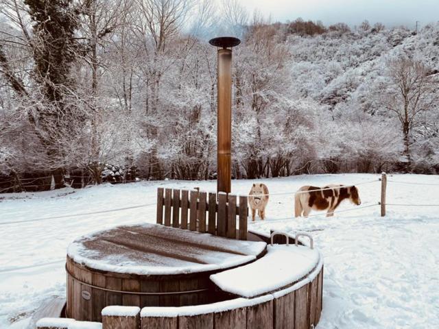 Chalet Le Fario, Bain nordique - Housity