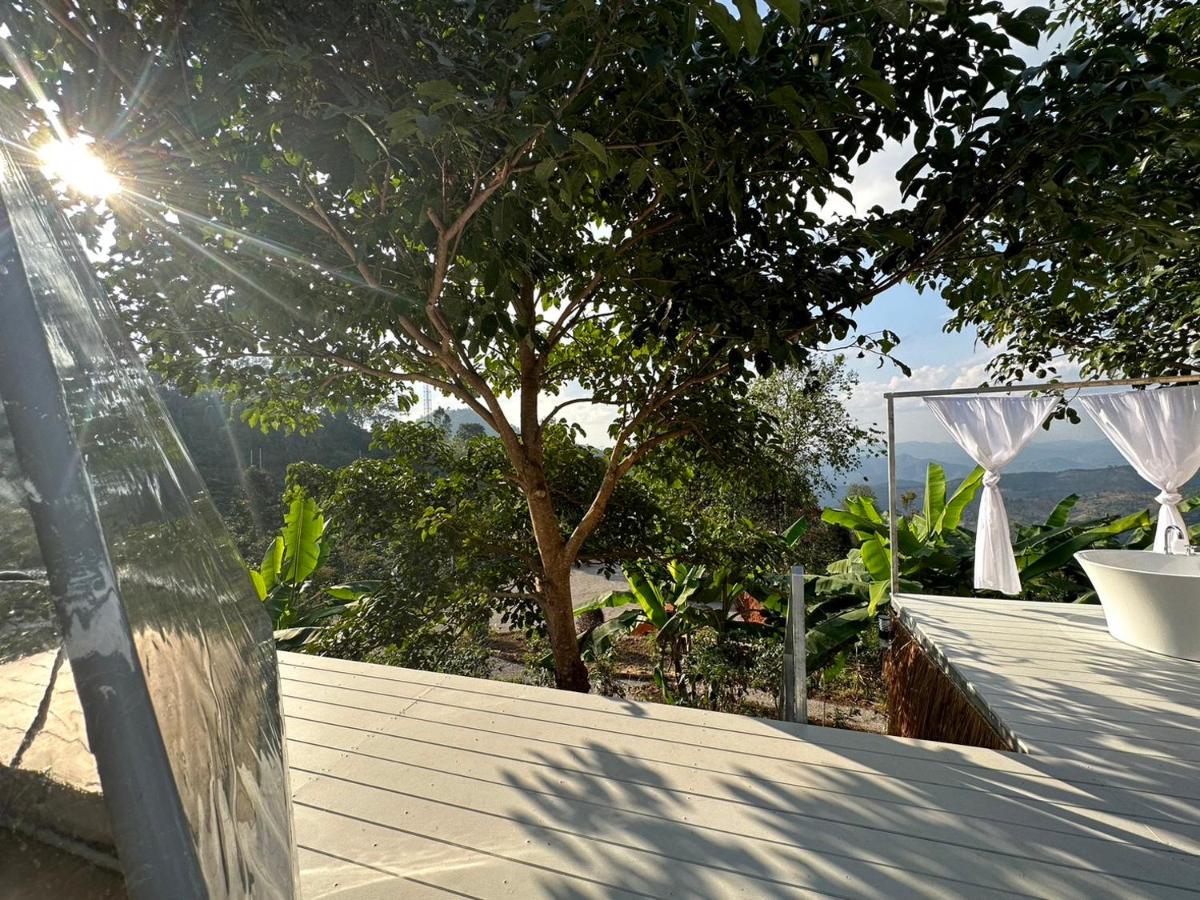 Arabica Lodge (อาราบิก้า ลอดจ์) - Housity