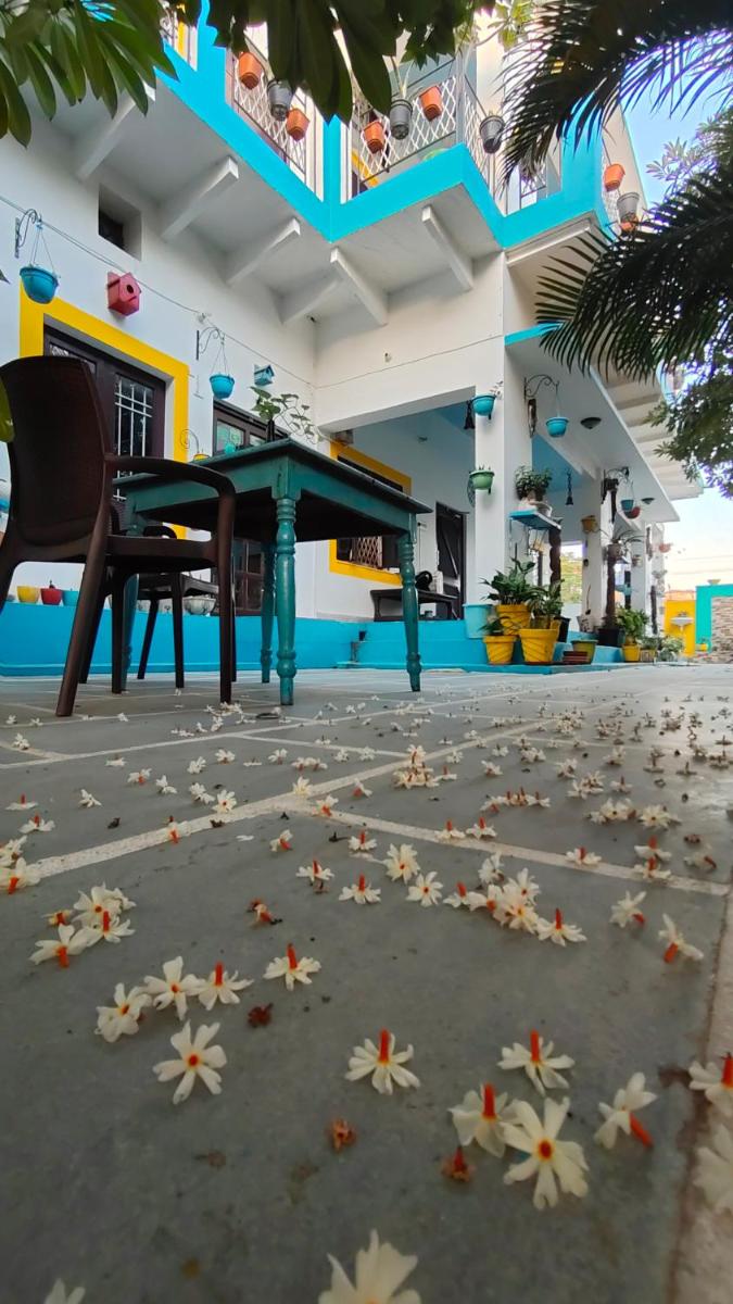 Iora Guest House - Housity