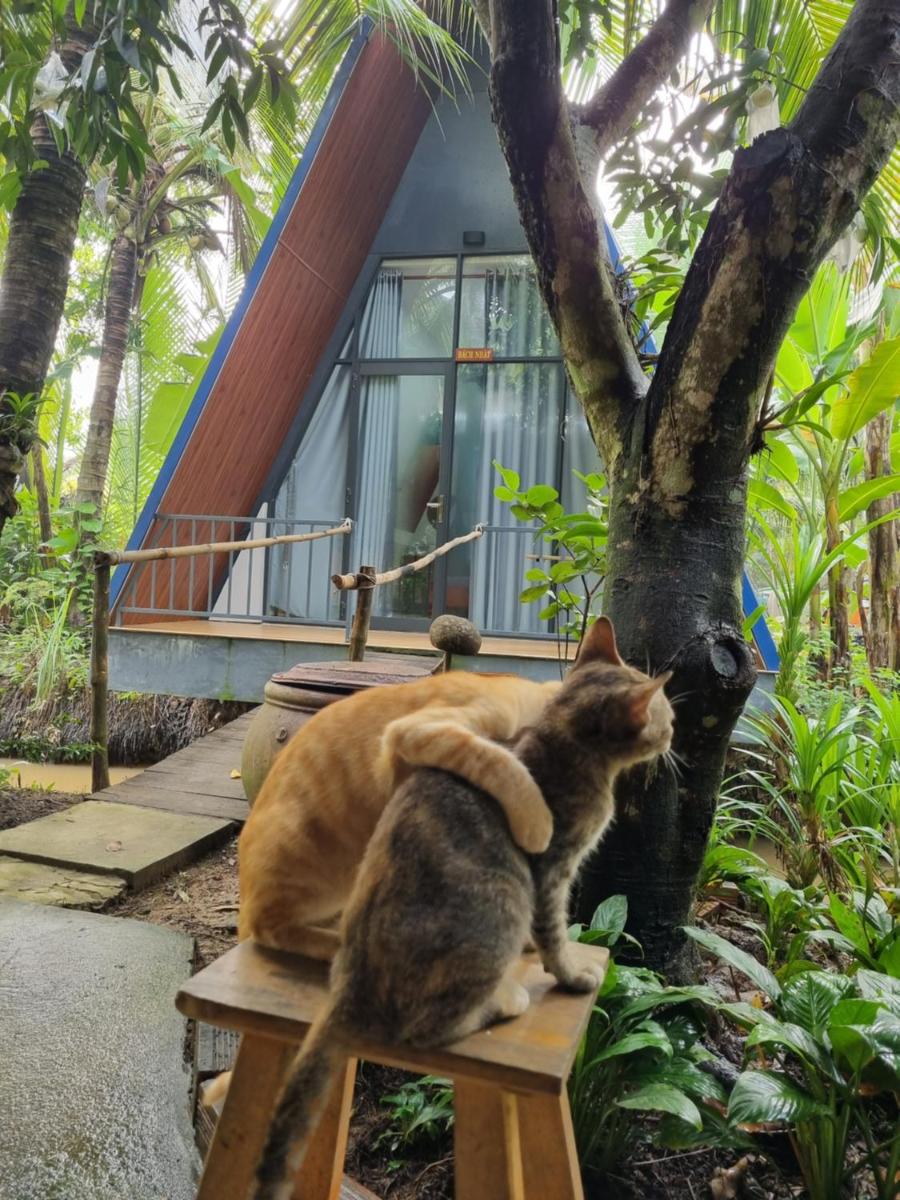 Homestay Nam Hàm Luông - Housity