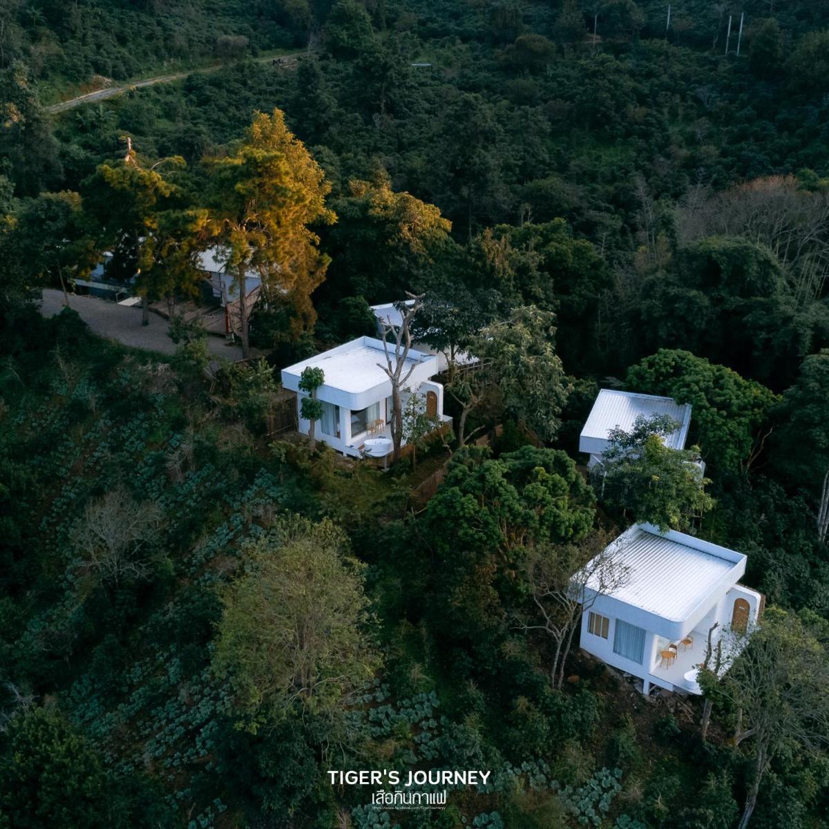Arabica Lodge (อาราบิก้า ลอดจ์) - Housity