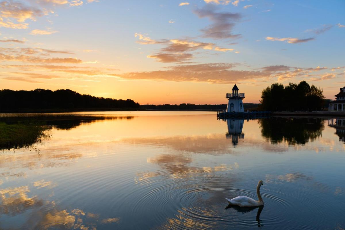 Suitetrails - Center Parcs Le Lac d’Ailette