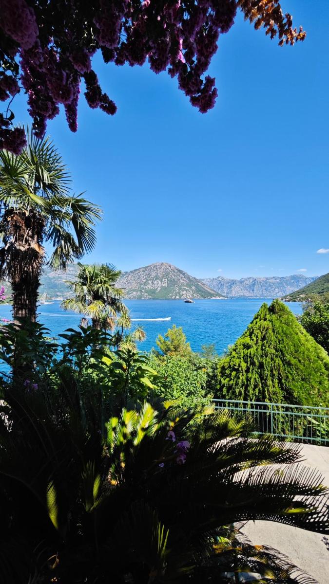 Apartment Capt Seferovic - Housity