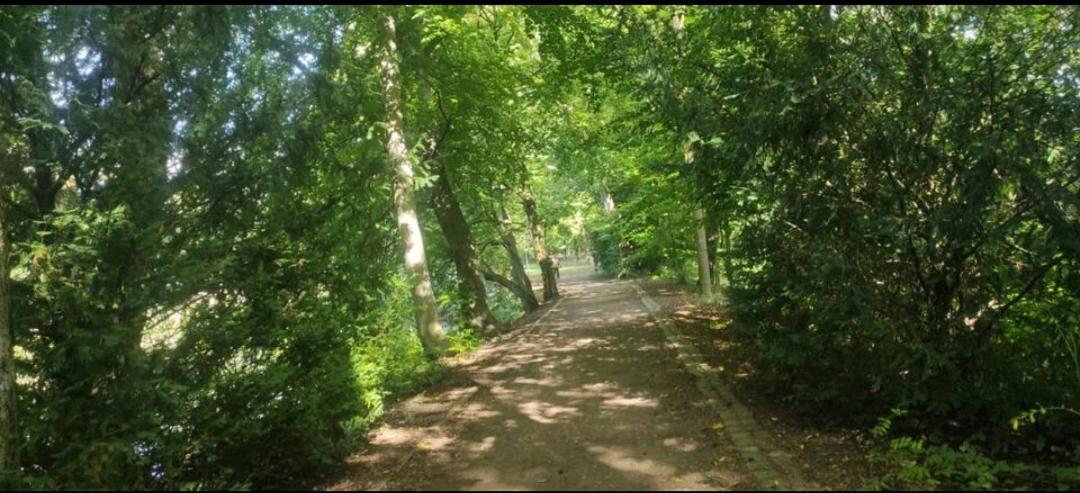 2Room Apartment Wlan Parking Delmenhorst - Housity