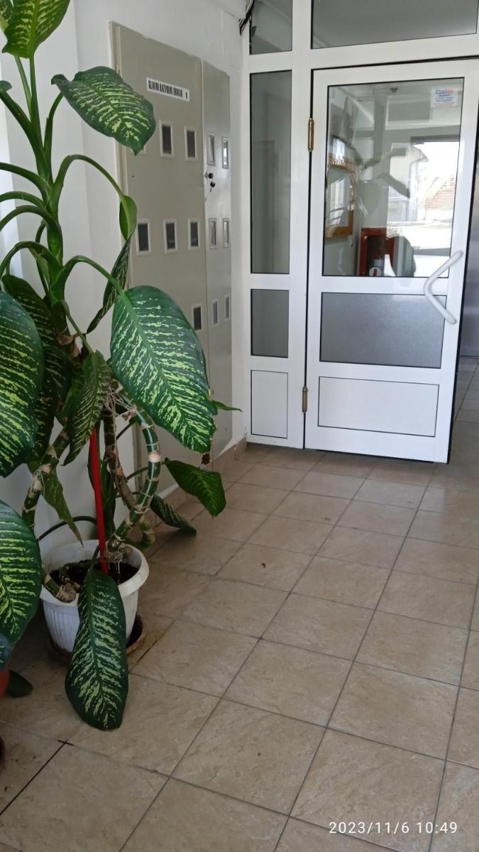 Apartman Mira - Housity