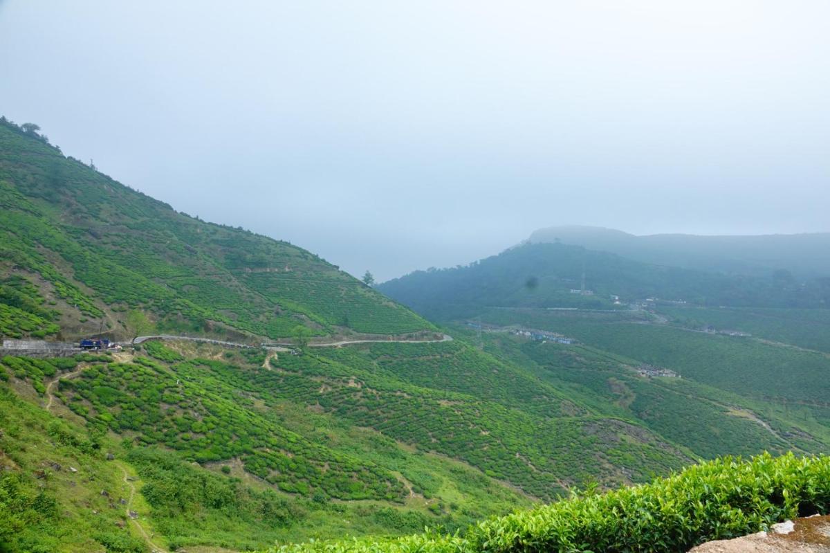 AGB Jungle Resort - Housity