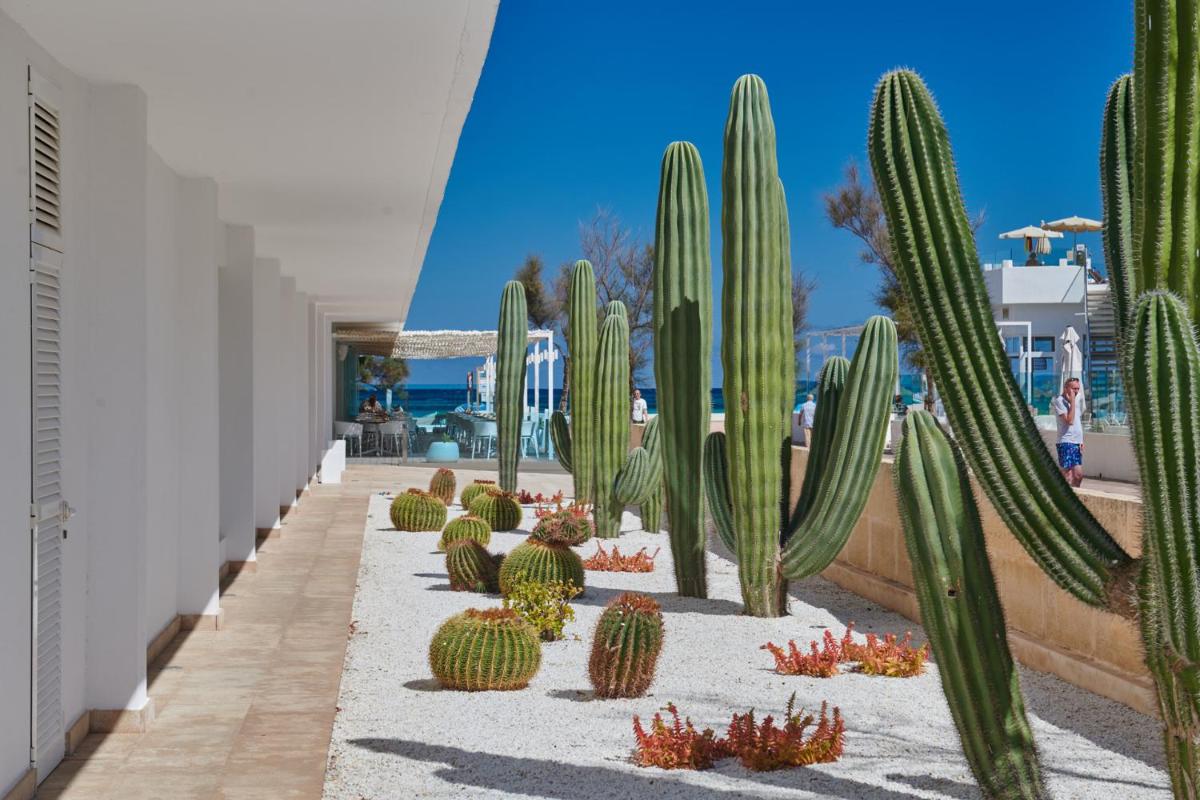 Imagen de la galería de The Sea Hotel by Grupotel - Adults Only, en Can Picafort