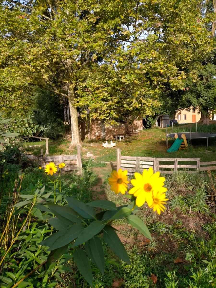 Albergue del Oso TierraLuz - Housity