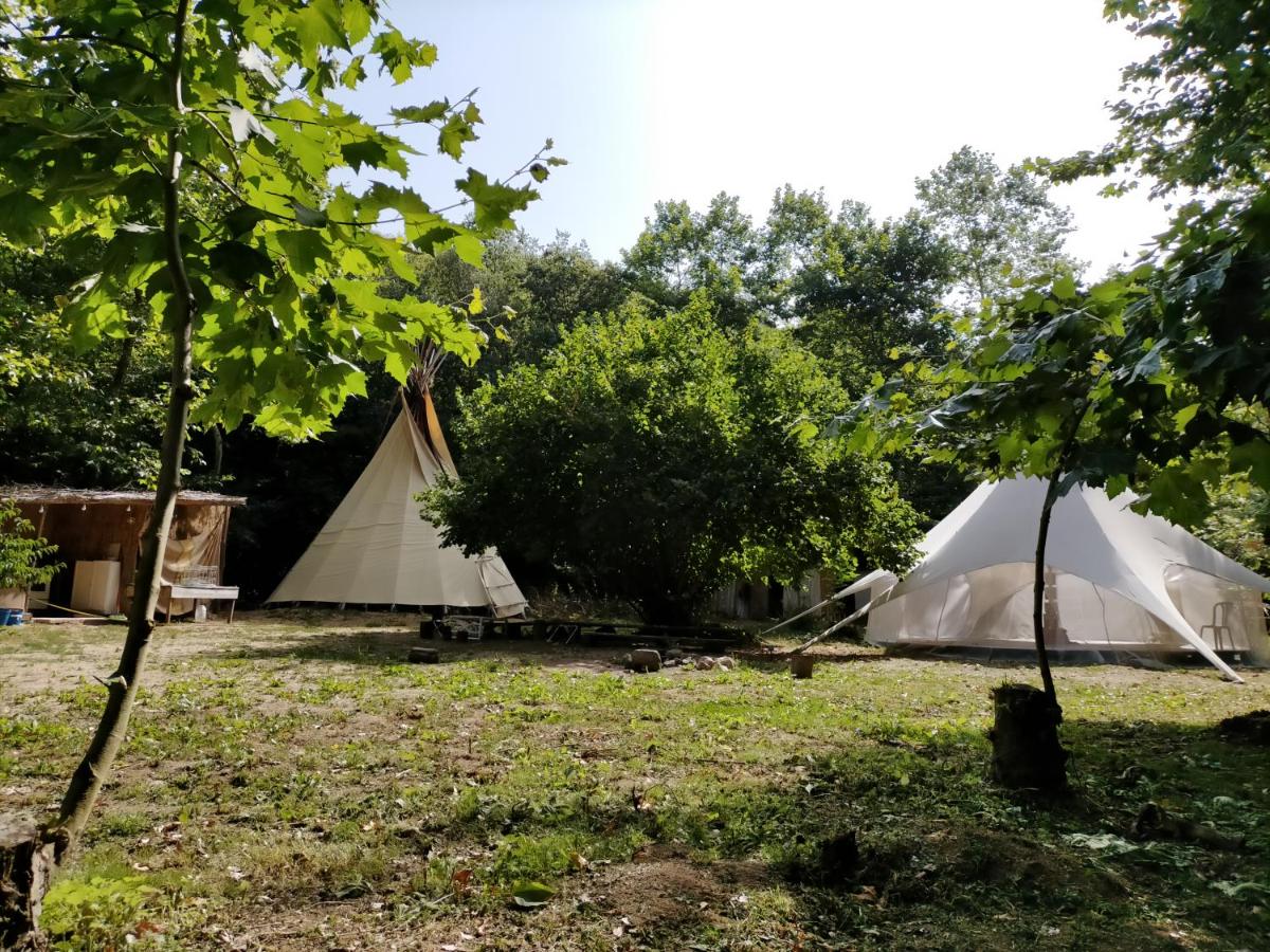 Albergue del Oso TierraLuz - Housity