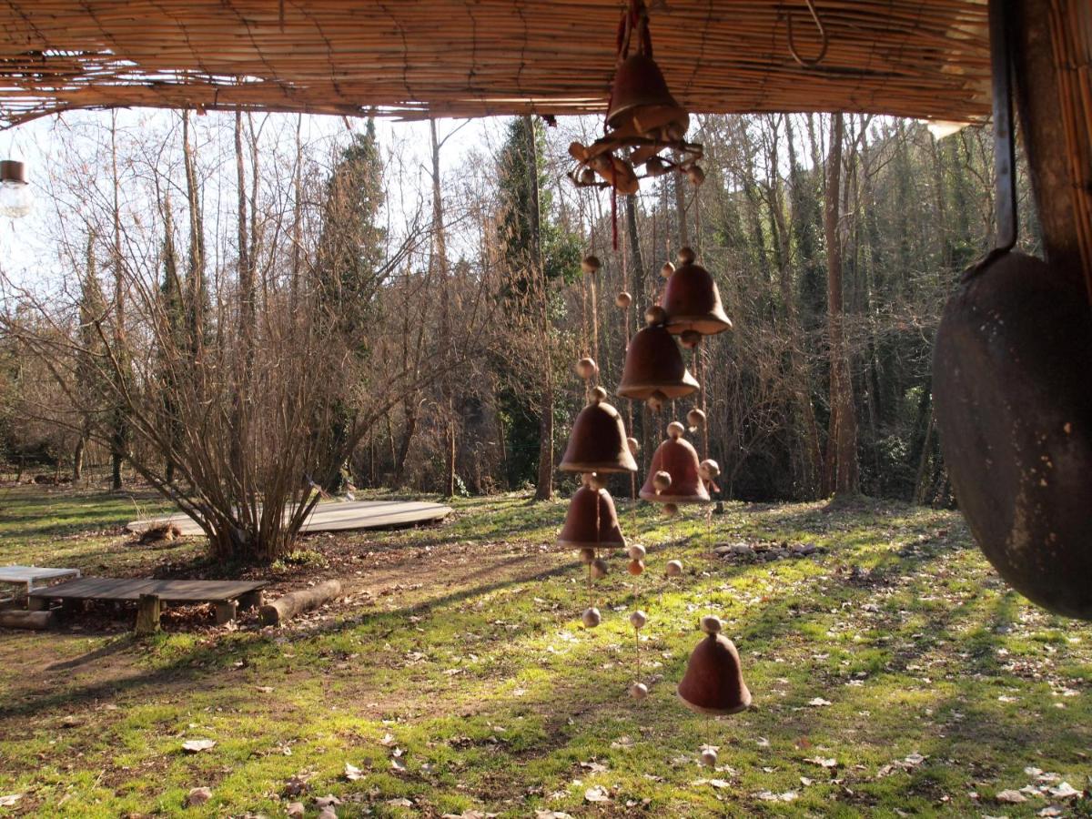 Albergue del Oso TierraLuz - Housity