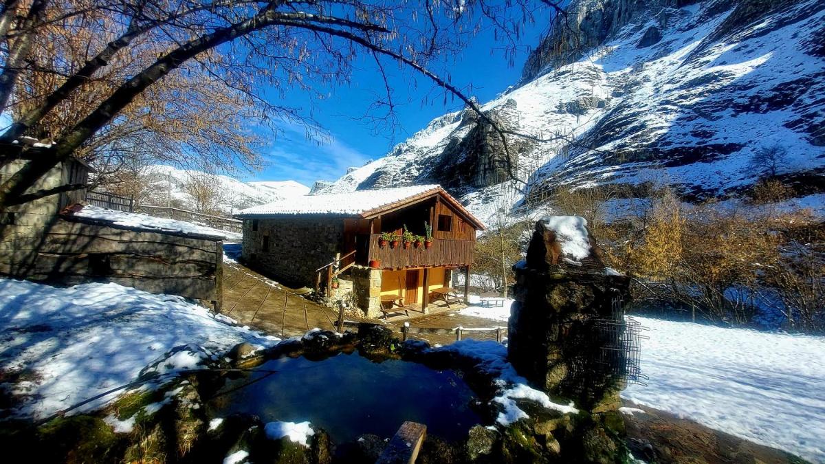 La Hirririá. - Housity