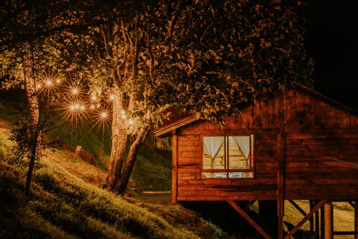 Confortable Cabaña en Bosque privado - Housity