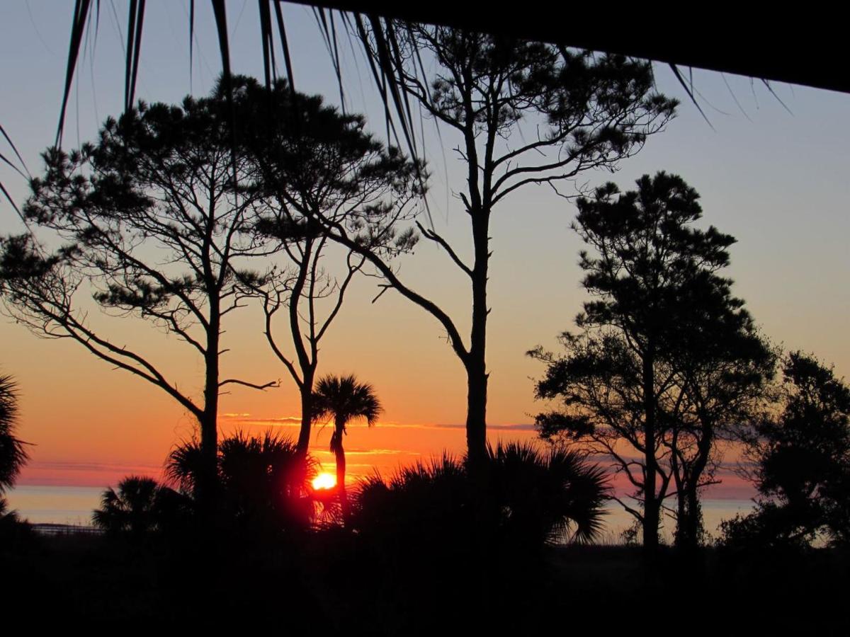 Beachfront Condo with Ocean View - Housity