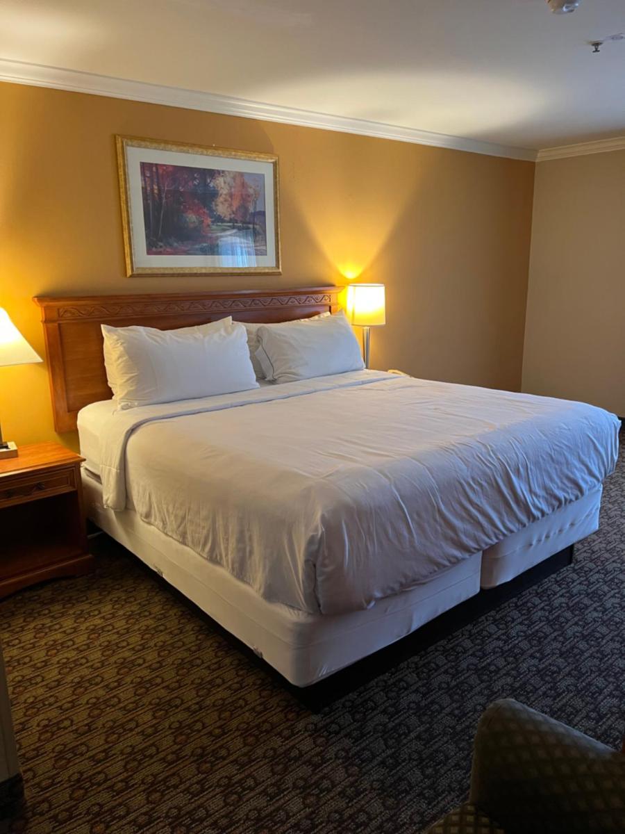 Hotel Xola - Housity